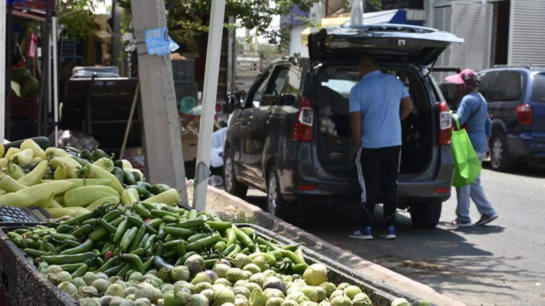 verduras y frutas (2) ok